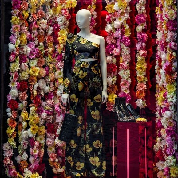 Meet your Posher, Regan - Picture 1 of 1